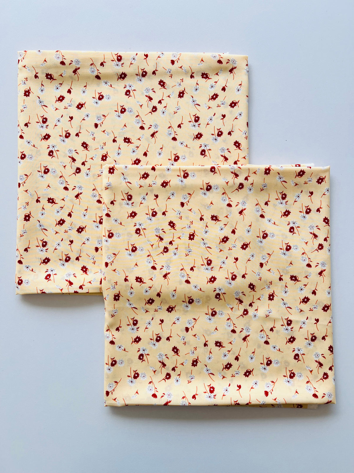 Small Floral design Linen 2pc Printed Suit