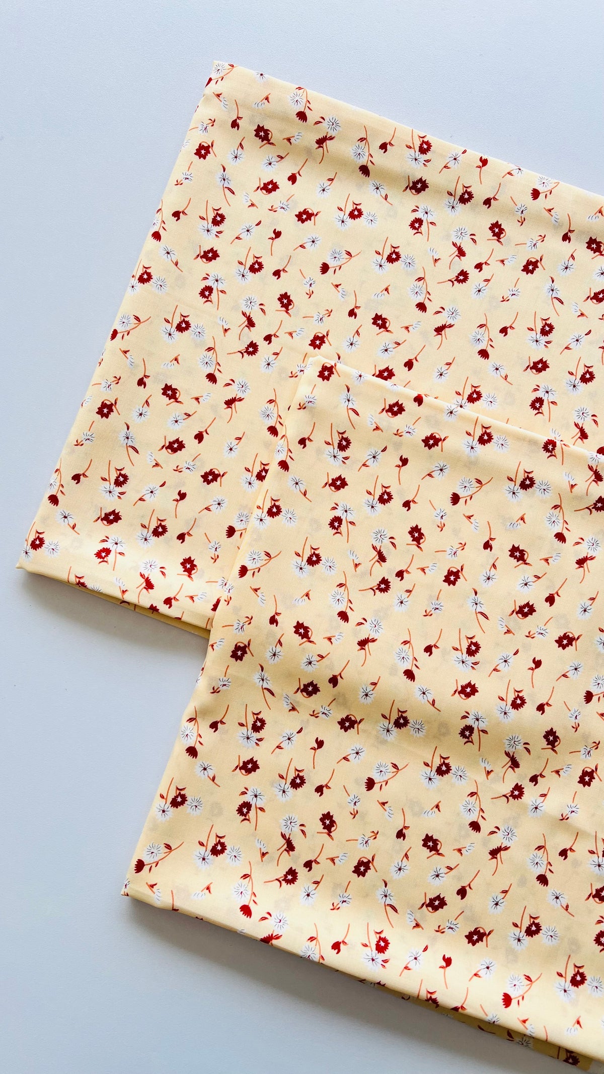 Small Floral design Linen 2pc Printed Suit